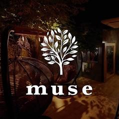 muse 新宿店