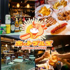 ホットブルズ