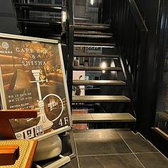 muse ミューズ 渋谷道玄坂店